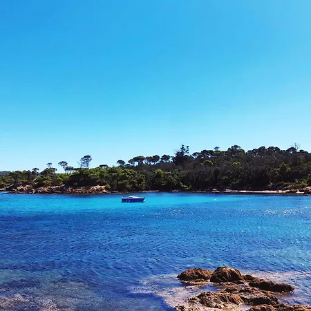 Apartment T2 Avec Terrasse & Parking A 5 Min Du Centre, 10 Min Des Plages Hyeres